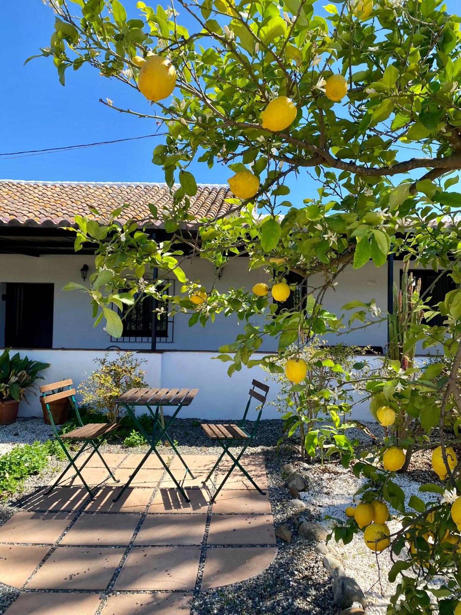 Villa La Vega - Malaga — Photos 3